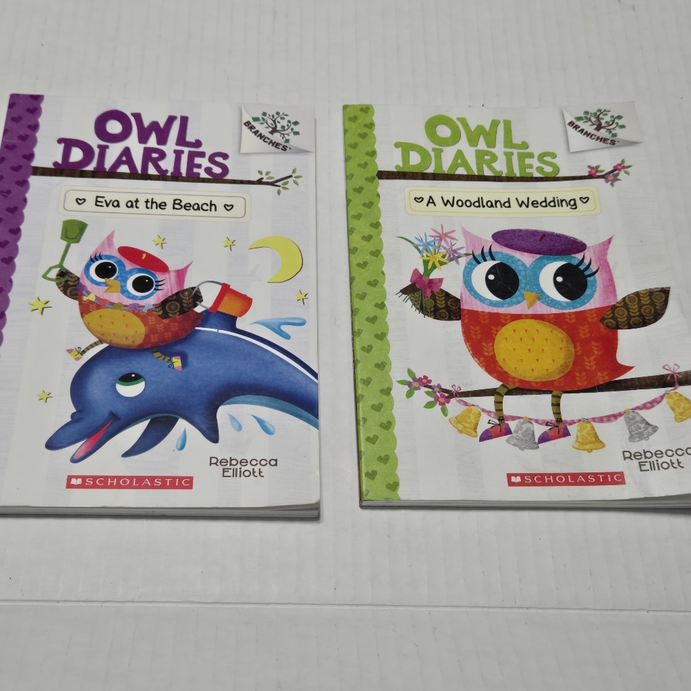 Set of 2 Owl Diary paperback books